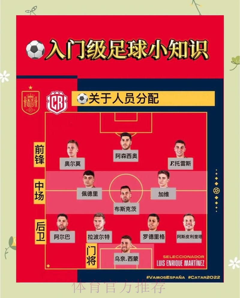世界杯投注中的稳定最佳策略如何实现